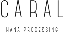 CARAL HANA PROCESSING